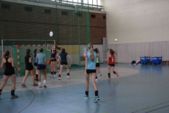 AuswahlTL_2017-145