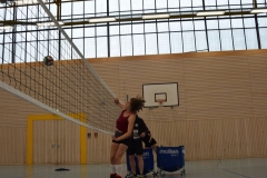 AuswahlTL_2017-445
