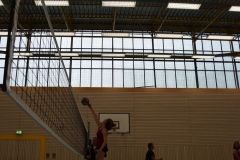 AuswahlTL_2017-553