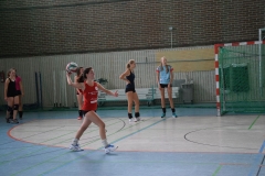 AuswahlTL_2017-154