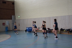AuswahlTL_2017-176