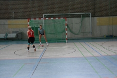 AuswahlTL_2017-179