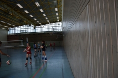 AuswahlTL_2017-191