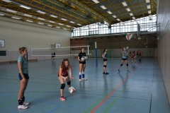 AuswahlTL_2017-193