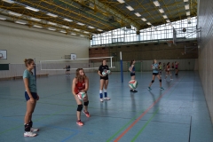 AuswahlTL_2017-194