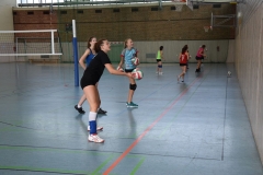 AuswahlTL_2017-195