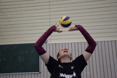AuswahlTL_2017-269