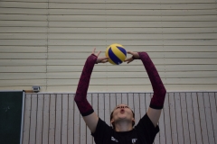 AuswahlTL_2017-273