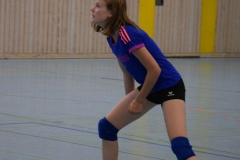 AuswahlTL_2017-284