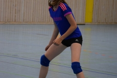 AuswahlTL_2017-285