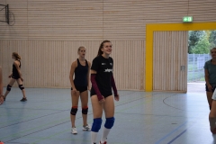 AuswahlTL_2017-287
