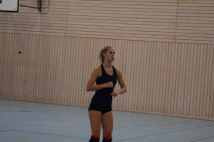 AuswahlTL_2017-288
