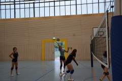 AuswahlTL_2017-292