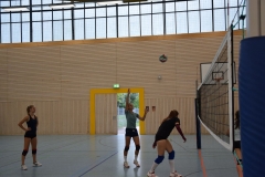 AuswahlTL_2017-293
