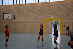 AuswahlTL_2017-294