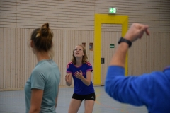 AuswahlTL_2017-295