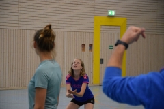 AuswahlTL_2017-296