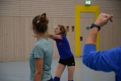 AuswahlTL_2017-297