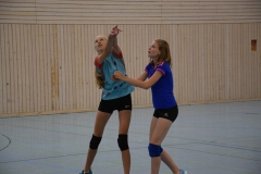 AuswahlTL_2017-301