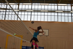AuswahlTL_2017-367