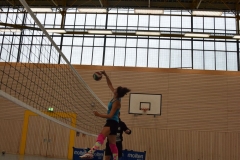AuswahlTL_2017-368