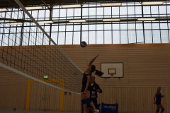 AuswahlTL_2017-372
