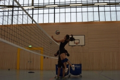 AuswahlTL_2017-373