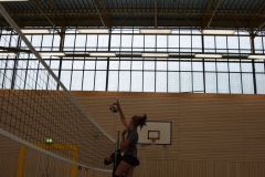 AuswahlTL_2017-375