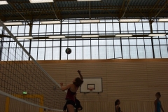 AuswahlTL_2017-378