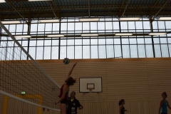 AuswahlTL_2017-379