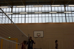 AuswahlTL_2017-381