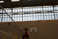 AuswahlTL_2017-384