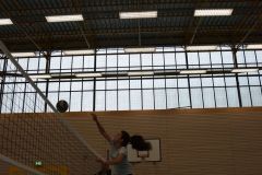 AuswahlTL_2017-385