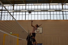 AuswahlTL_2017-388