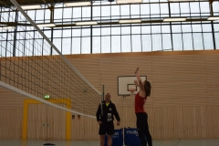 AuswahlTL_2017-393