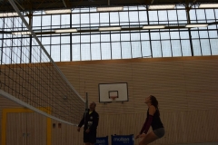 AuswahlTL_2017-399