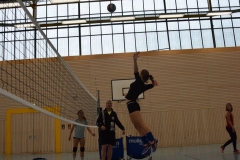 AuswahlTL_2017-406