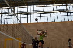 AuswahlTL_2017-410