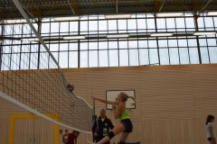 AuswahlTL_2017-411