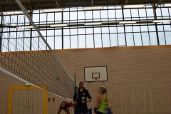 AuswahlTL_2017-413