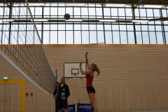 AuswahlTL_2017-472