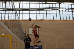 AuswahlTL_2017-473