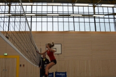 AuswahlTL_2017-474