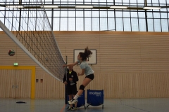 AuswahlTL_2017-481