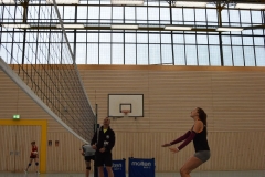 AuswahlTL_2017-483