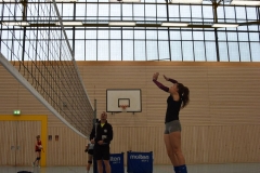 AuswahlTL_2017-484
