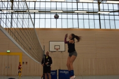 AuswahlTL_2017-485