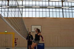 AuswahlTL_2017-487
