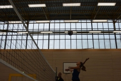 AuswahlTL_2017-488