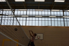AuswahlTL_2017-491